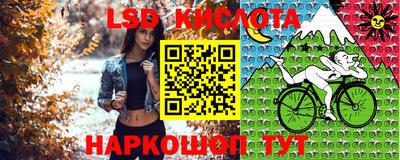 шишки Ирбит