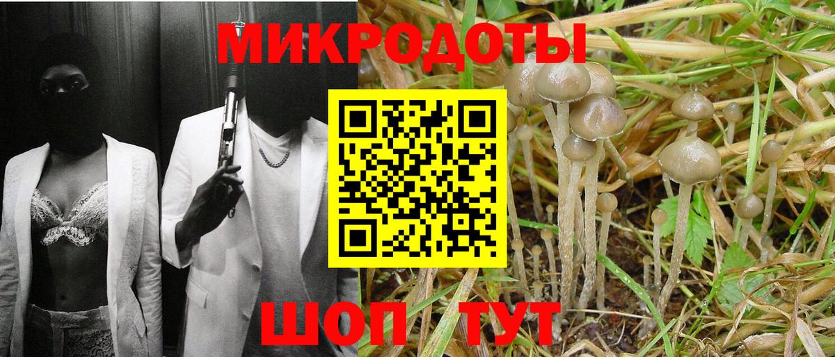Галлюциногенные грибы Magic Shrooms  Вход с VPN  Псилоцибиновые грибы Cubensis  Кудрово 