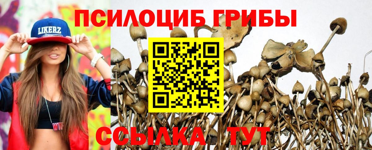 Галлюциногенные грибы прущие грибы Кудрово