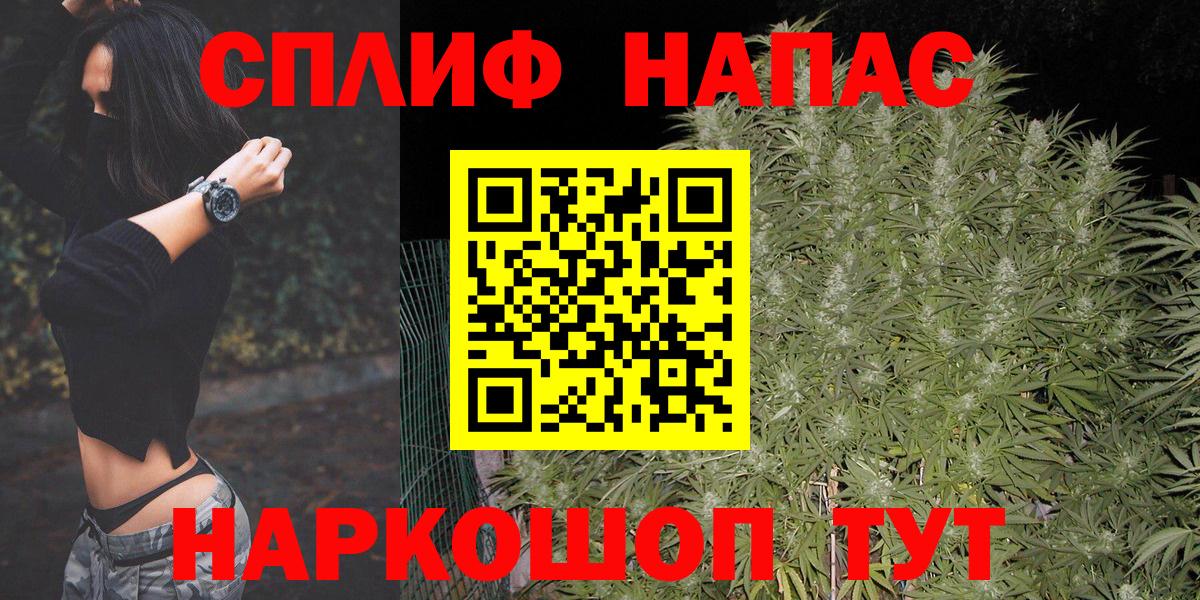 Шишки марихуана семена  Марихуана Amnesia  Кудрово  МАРИХУАНА Bruce Banner  Вход с VPN 